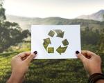 EKOZWROTY czyli rozwiązanie zero waste