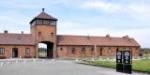 68. rocznica wyzwolenia Auschwitz-Birkenau