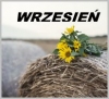 Wrzesień - Aktualności