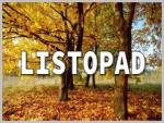 Aktualności - Listopad