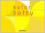 Dzień aktywności - dzień żółty