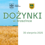 Dożynki w Brzezince