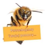 Światowy Dzień Pszczół 20 maja