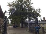 Muzeum Auschwitz w Oświęcimiu